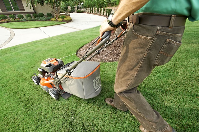 What to do when your brand new lawn mower won't start