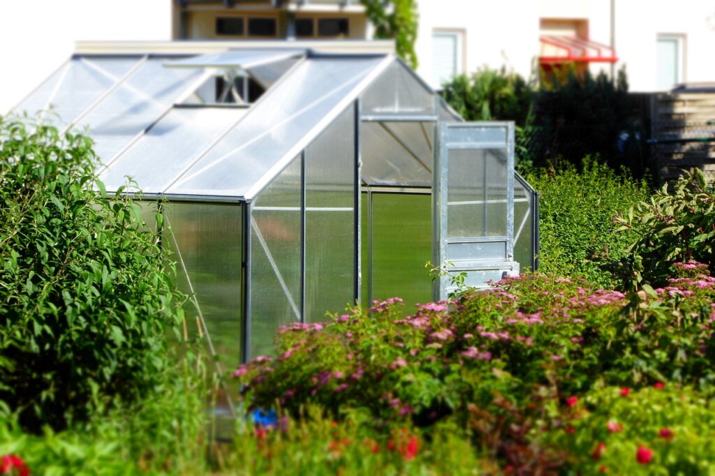 The best greenhouse kits make the most of your garden all year round.