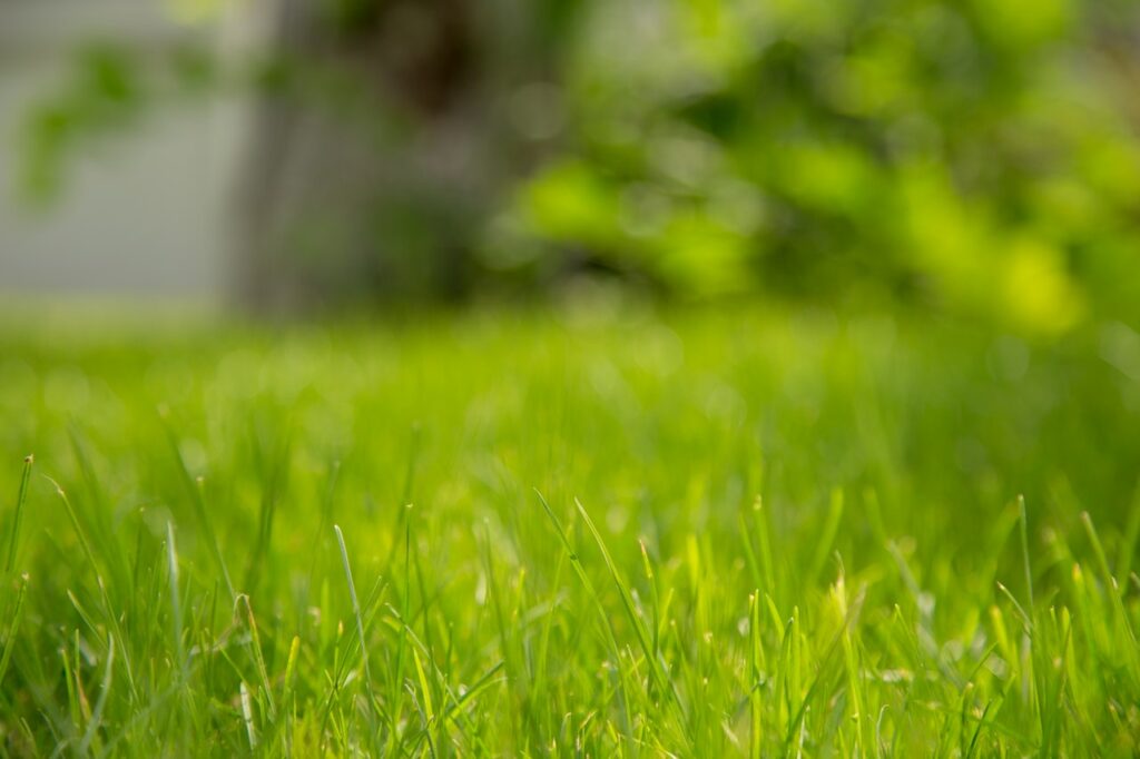 Bermuda Grass fits in well with a Southern Lawn Care schedule