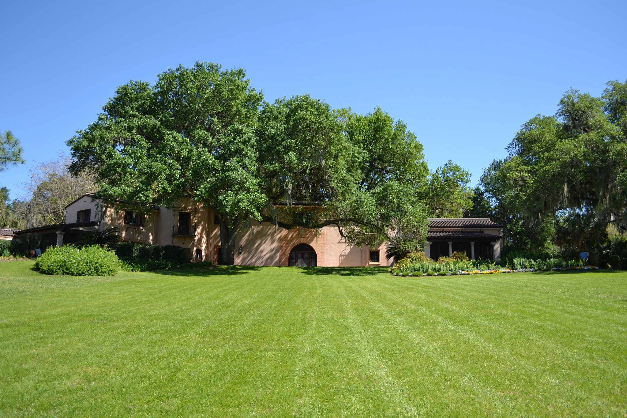 southern lawn care schedule