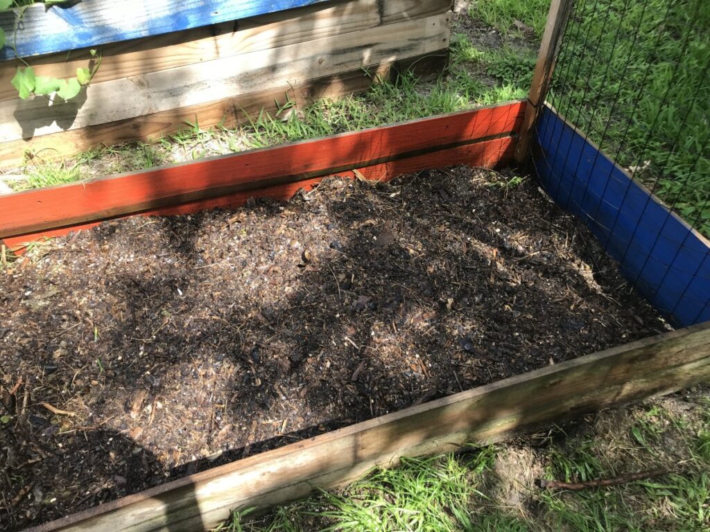 along with summer cover crops, I add more rich compost to the vegetable beds