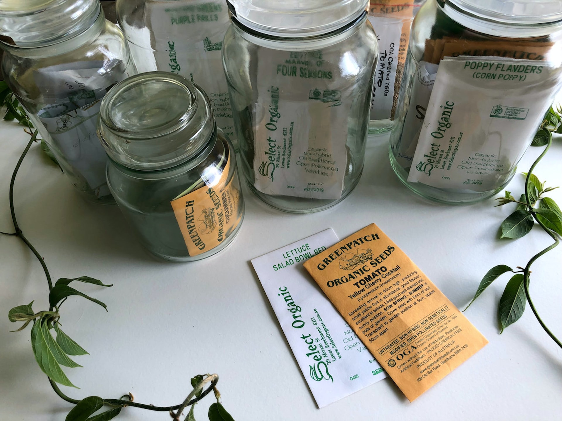 seed saving