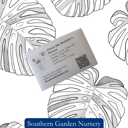Cornflower Seeds