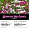 Sensation Mix Cosmos Seeds, Cosmos bipinnatus - Image 2