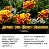 Sparky Mix French Marigolds Seeds, Tagetes patula - Image 2