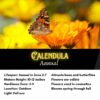 Calendula Seeds, Pot Marigold, Calendula officinalis - Image 2