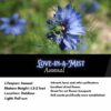 Love-in-a-Mist Seeds, Nigella damascena - Image 2