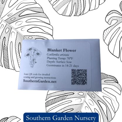 Blanket Flower Seeds / Gaillardia aristata - Image 4