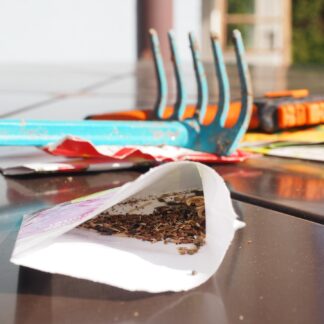 Fruit and Vegetable Seeds