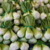 Dwarf Bok Choy Seeds, Free Shipping, Brassica rapa (Chinensis) - Image 4