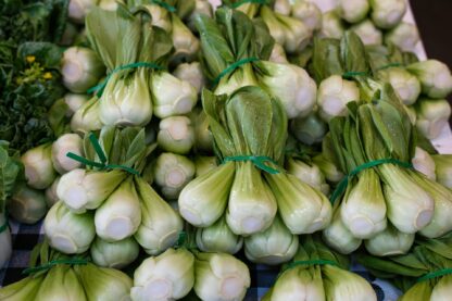 Dwarf Baby Bok Choy Seeds /  Brassica rapa 'Chinensis' - Image 4
