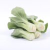 Dwarf Bok Choy Seeds, Free Shipping, Brassica rapa (Chinensis) - Image 7