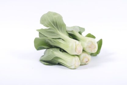 Dwarf Baby Bok Choy Seeds /  Brassica rapa 'Chinensis' - Image 7