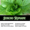 Jericho Romaine Lettuce Seeds, Jericho Cos Lettuce - Image 2