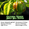 Sweet Bell Pepper Seeds, "California Wonder," Heirloom Variety - Image 2