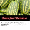 Florida Giant Watermelon Seeds, Heat Tolerant Heirloom Melon Seeds - Image 5