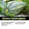 Cocozelle Zucchini Seeds, Cucurbita Pepo 'Cocozelle' Heirloom Vegetable - Image 2