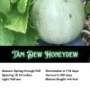 Tam Dew Honeydew Melon Seeds - Image 2