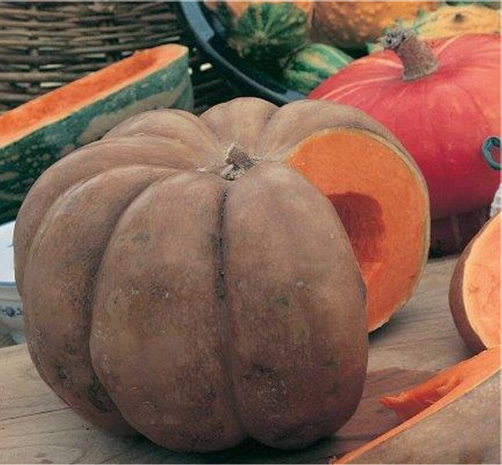 Calabaza squash