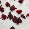 Roselle Seeds, Hibiscus sabdariffa, Jamaican Sorrel, Florida Cranberry, Asian Sour Leaf, Edible Hibiscus - Image 9