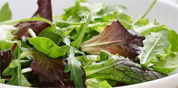 Mesclun mix salad lettuce