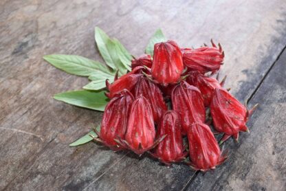 Roselle Seeds / Hibiscus sabdariffa - Image 3