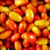 San Marzano Heirloom Tomatoes, Determinate Bush Tomato Seeds - Image 5