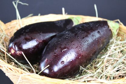 Black Beauty Eggplant Seeds, Solanum melongena 'Black Beauty' - Image 7