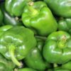 Sweet Bell Pepper Seeds, "California Wonder," Heirloom Variety - Image 7