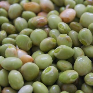 Perennial Fruit and Vegetable Seeds