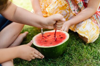 Sugar Baby Watermelon Seeds / Citrullus lanatus 'Sugar Baby' - Image 3