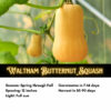 Waltham Butternut Squash Seeds, Heirloom Winter Squash - Image 2