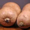 Waltham Butternut Squash Seeds, Heirloom Winter Squash - Image 6