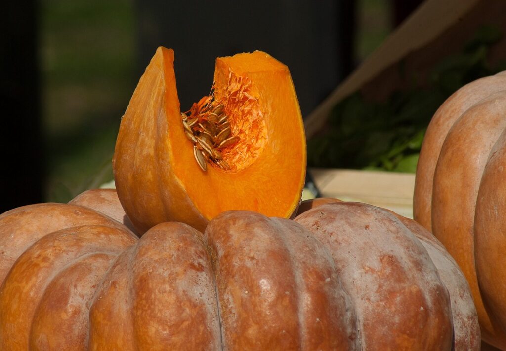 growing calabaza squash for storage