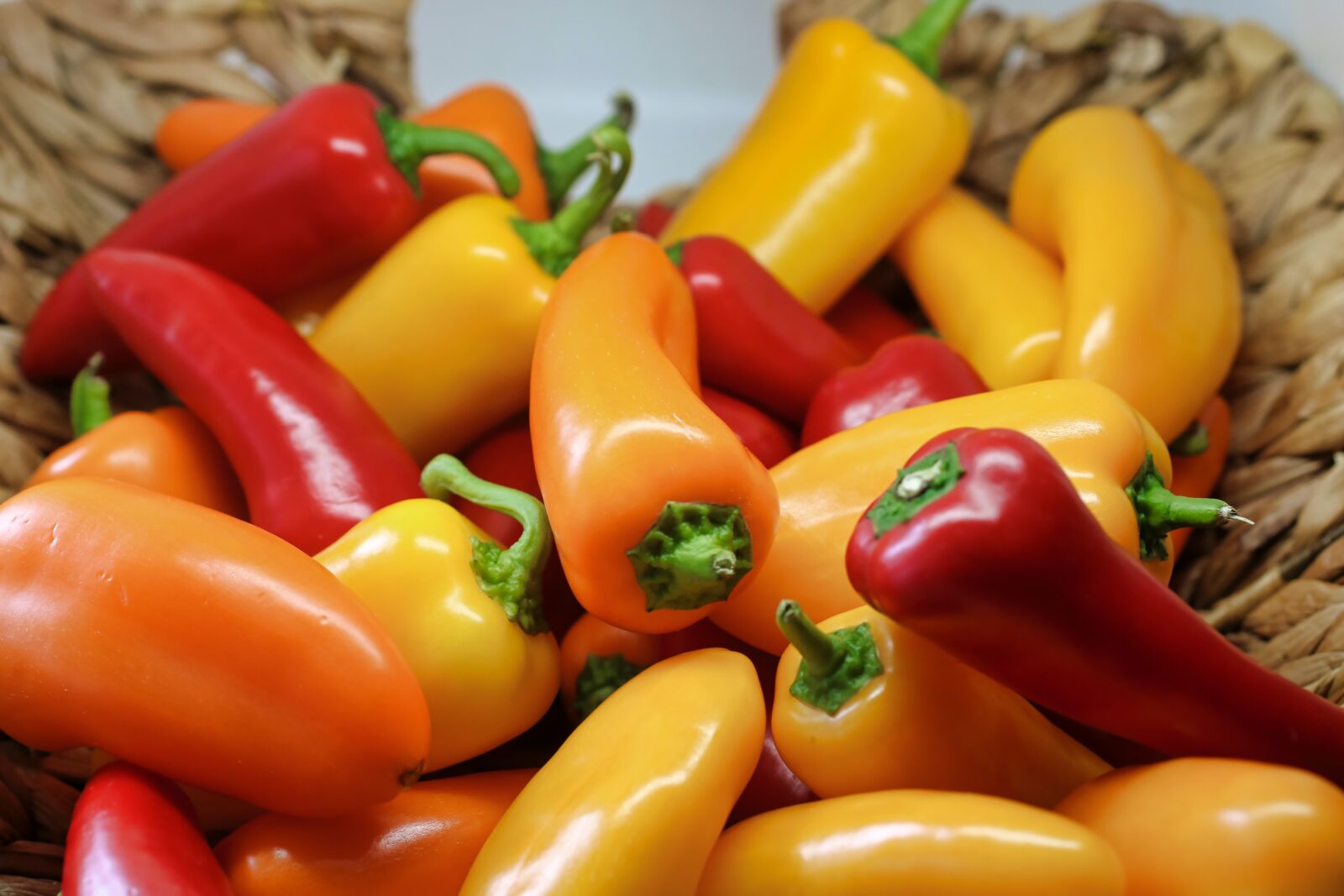 Growing sweet peppers from seed