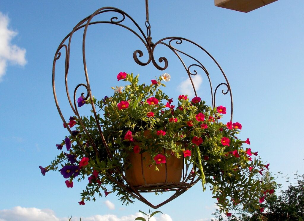 Using hanging planters in a Florida container garden 