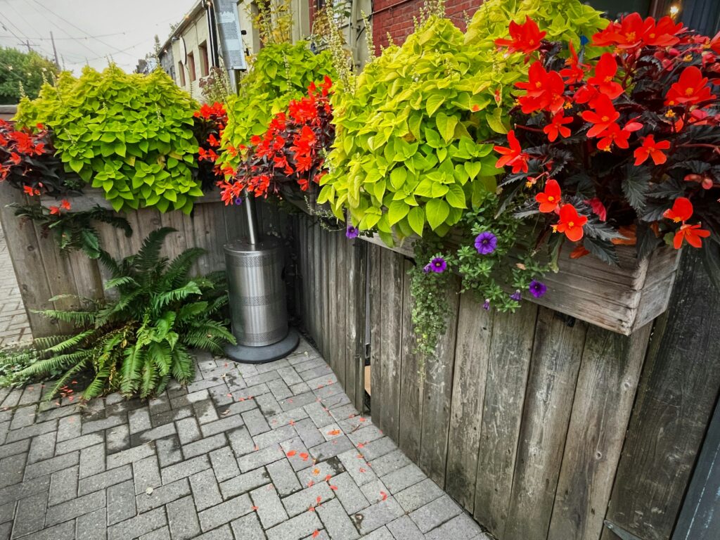 containers for Florida gardens can be low raised beds or vertical planting boxes