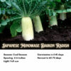 Japanese Minowase Daikon Radish, Tillage Radish Seeds - Image 2