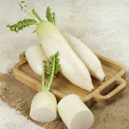 Japanese Minowase Daikon Radish / Raphanus sativus var. longipinnatus - Image 8
