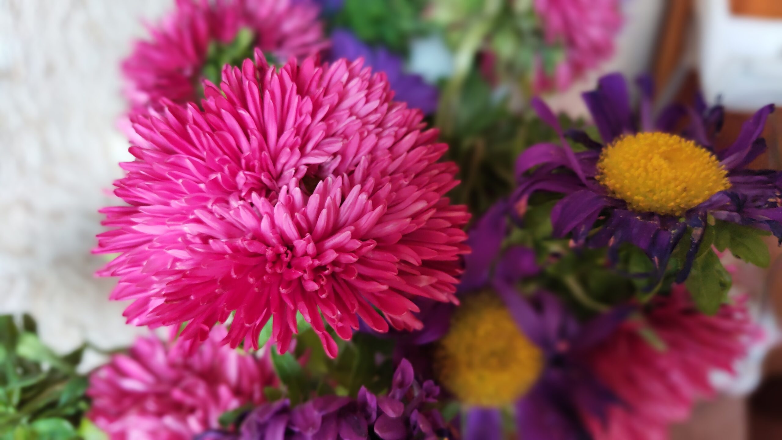 China Aster Blooms Callistephus chinensis in a floral arrangement