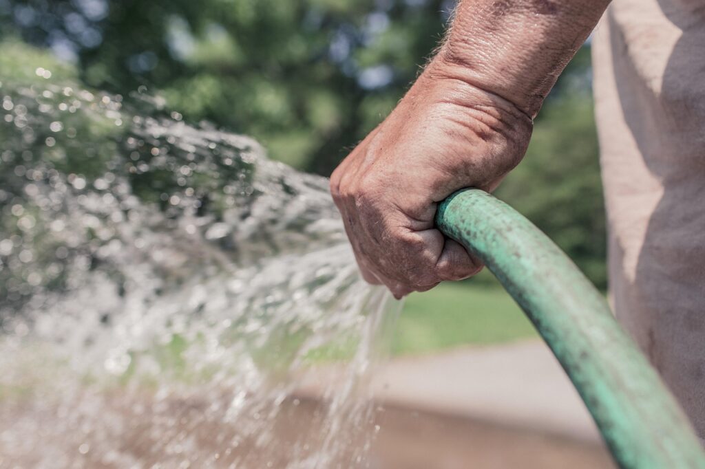 Gardening in May in Florida can mean regular watering