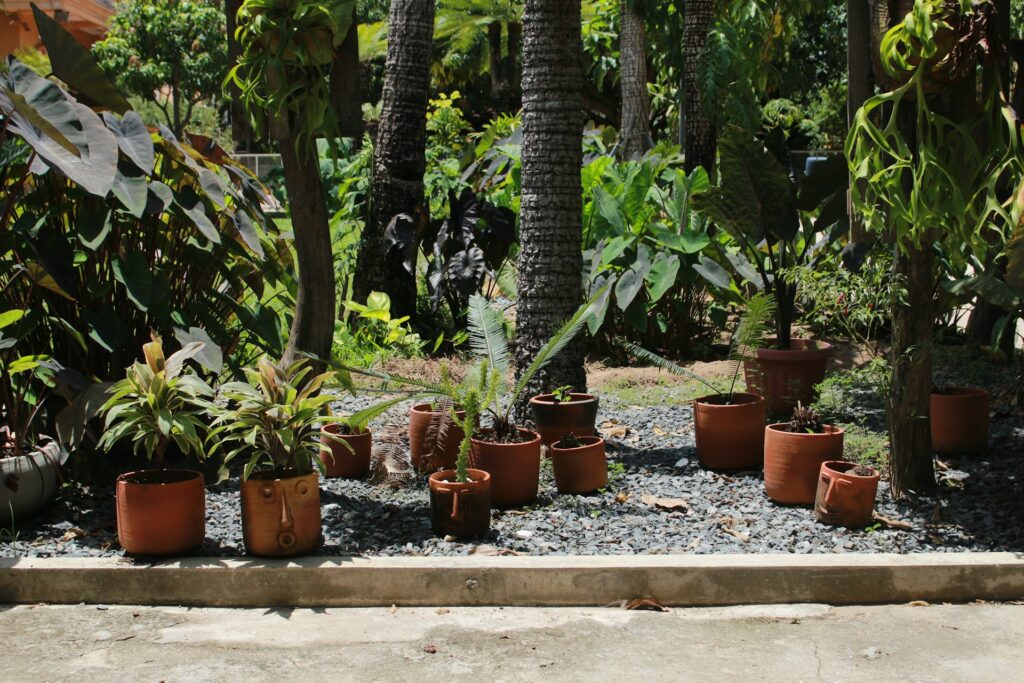 Outdoor container gardens in Florida