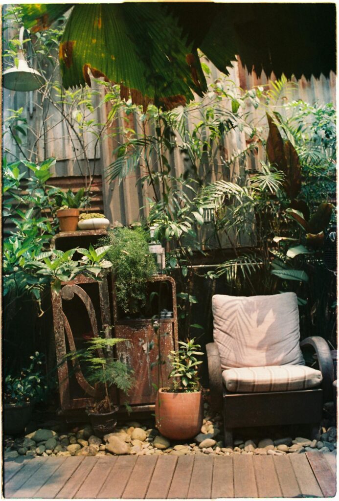 Tropical container gardens in Florida