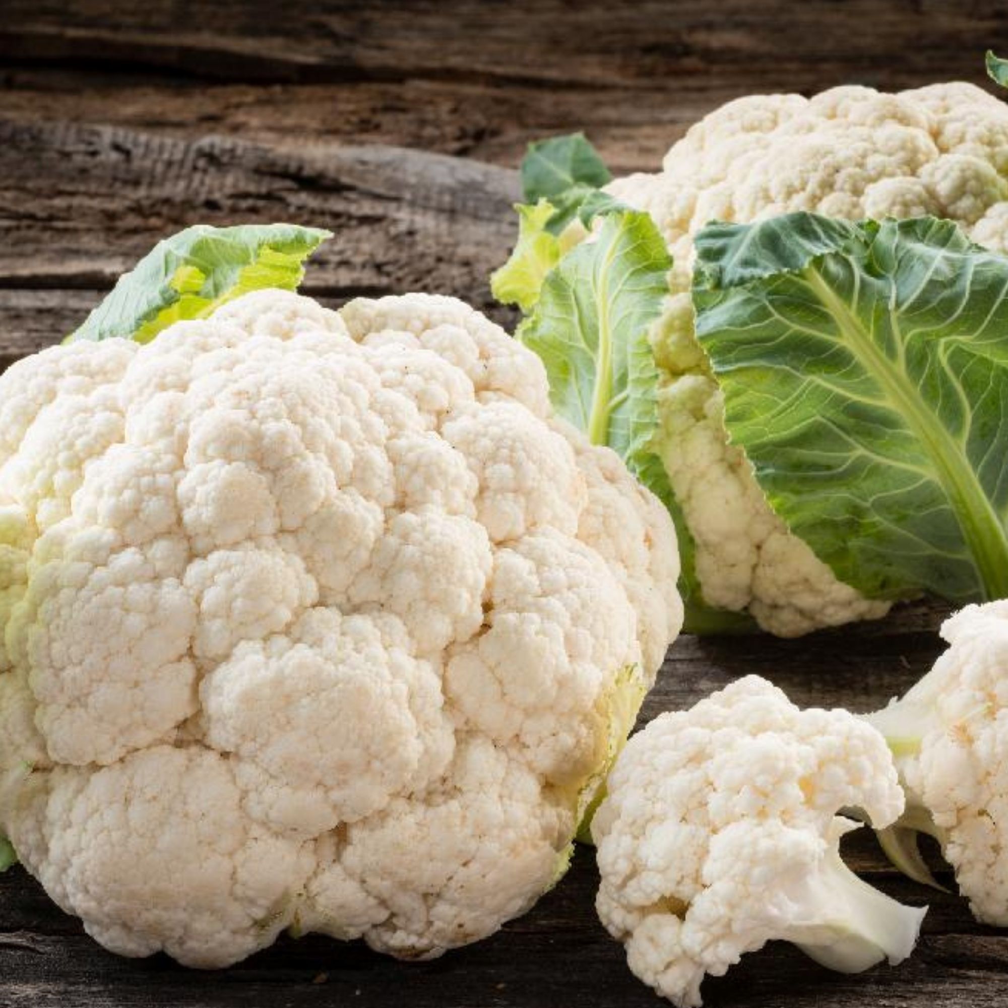 Snowball Self-Blanching Cauliflower Seeds / Brassica oleracea var. botrytis 'Snowball' - Image 4